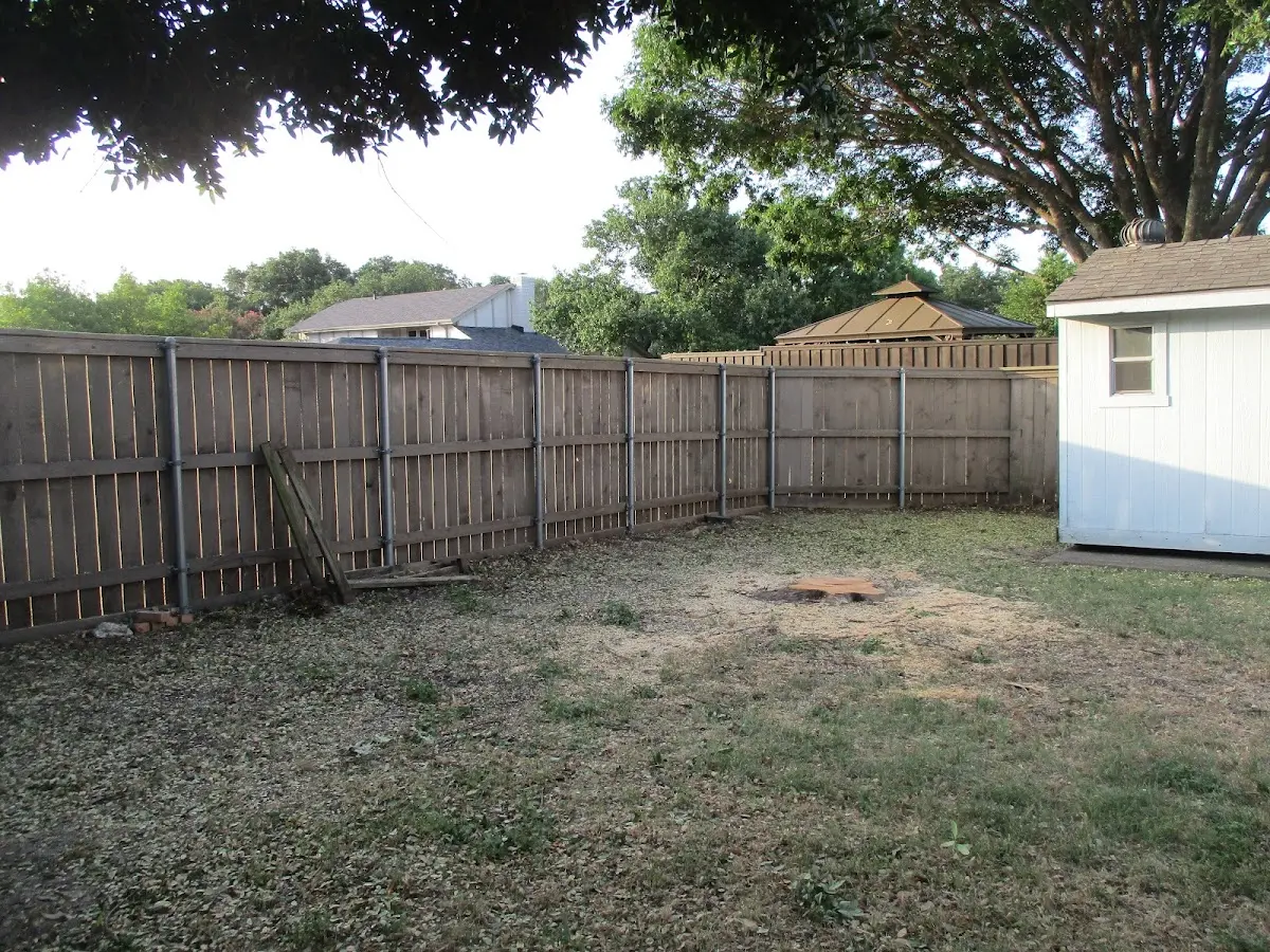 Cleared yard after professional tree removal in Antimony